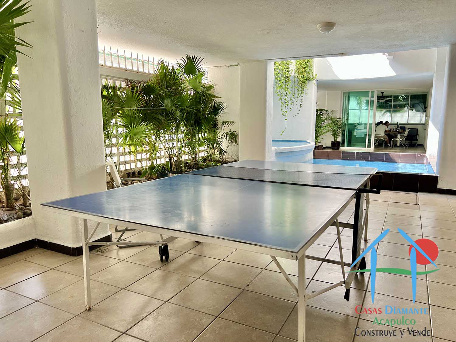 Carlson - Mesa de ping pong 3